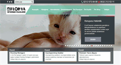 Desktop Screenshot of florybal.com.br